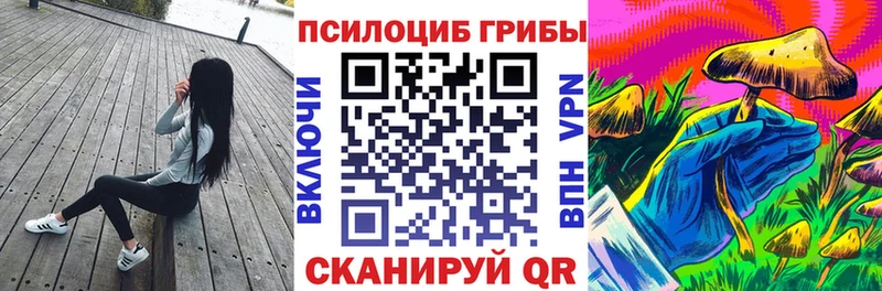 Псилоцибиновые грибы мухоморы  закладки  Светлоград 